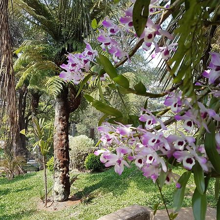 فيلا Residencia No Centro De غرامادو المظهر الخارجي الصورة